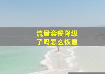 流量套餐降级了吗怎么恢复