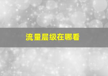 流量层级在哪看