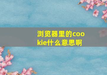 浏览器里的cookie什么意思啊