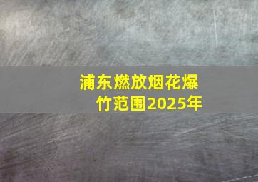 浦东燃放烟花爆竹范围2025年