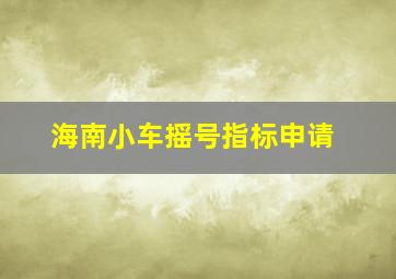 海南小车摇号指标申请