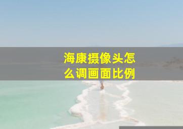 海康摄像头怎么调画面比例