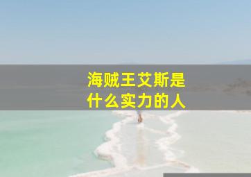 海贼王艾斯是什么实力的人