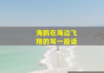 海鸥在海边飞翔的写一段话