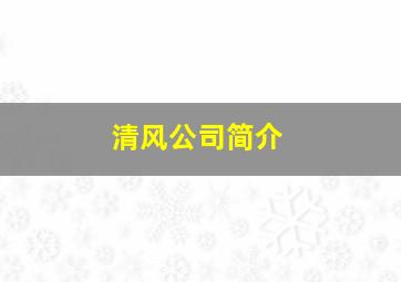 清风公司简介