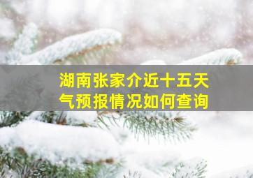 湖南张家介近十五天气预报情况如何查询