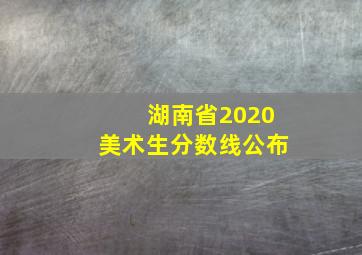 湖南省2020美术生分数线公布