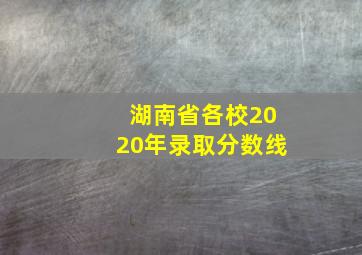 湖南省各校2020年录取分数线