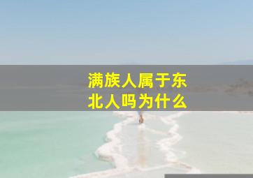 满族人属于东北人吗为什么