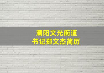 潮阳文光街道书记郑文杰简历