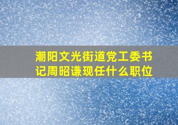 潮阳文光街道党工委书记周昭谦现任什么职位