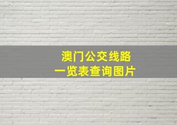 澳门公交线路一览表查询图片