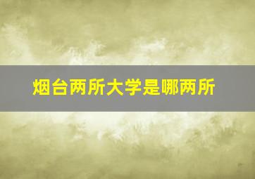 烟台两所大学是哪两所