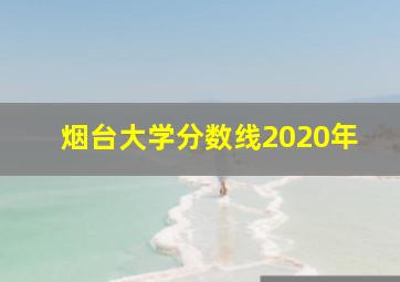 烟台大学分数线2020年