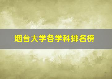 烟台大学各学科排名榜