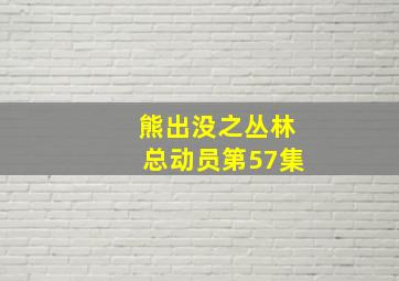 熊出没之丛林总动员第57集