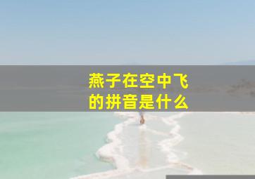 燕子在空中飞的拼音是什么