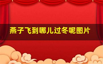 燕子飞到哪儿过冬呢图片