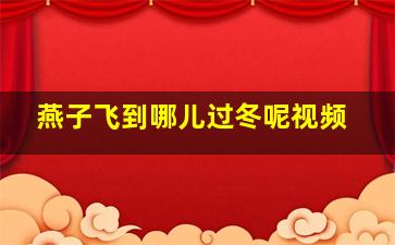 燕子飞到哪儿过冬呢视频