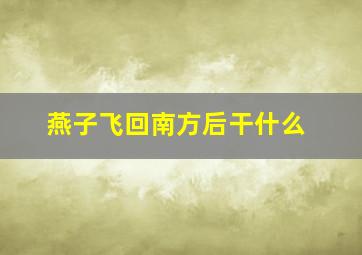 燕子飞回南方后干什么