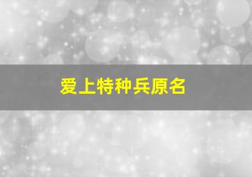 爱上特种兵原名