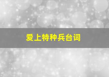 爱上特种兵台词