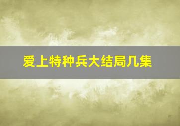 爱上特种兵大结局几集