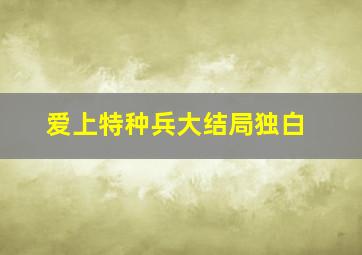 爱上特种兵大结局独白