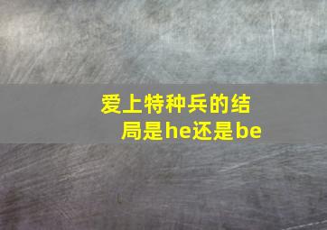 爱上特种兵的结局是he还是be