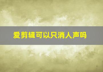 爱剪辑可以只消人声吗