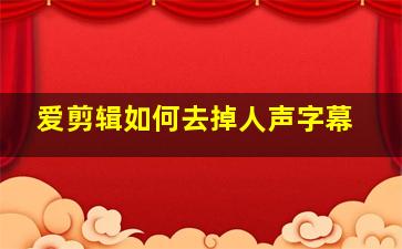 爱剪辑如何去掉人声字幕