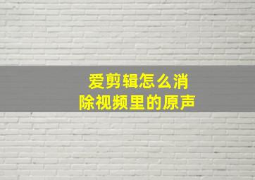 爱剪辑怎么消除视频里的原声