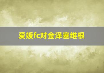 爱媛fc对金泽塞维根