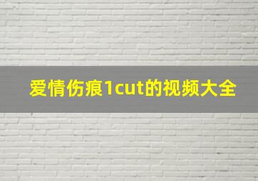 爱情伤痕1cut的视频大全