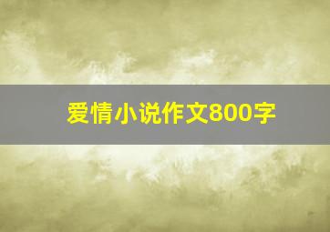 爱情小说作文800字