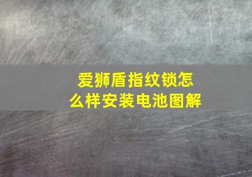 爱狮盾指纹锁怎么样安装电池图解