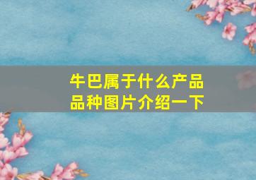 牛巴属于什么产品品种图片介绍一下