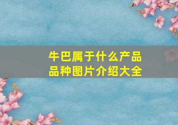 牛巴属于什么产品品种图片介绍大全