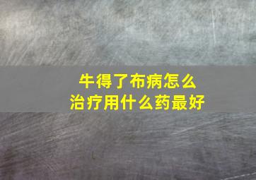 牛得了布病怎么治疗用什么药最好