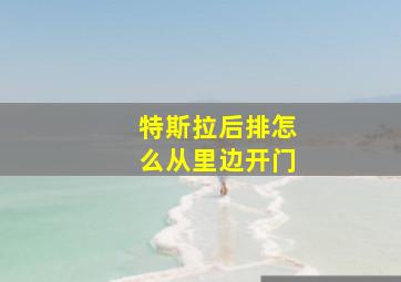 特斯拉后排怎么从里边开门