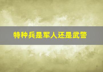 特种兵是军人还是武警