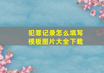 犯罪记录怎么填写模板图片大全下载