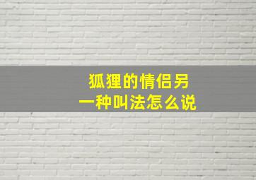 狐狸的情侣另一种叫法怎么说