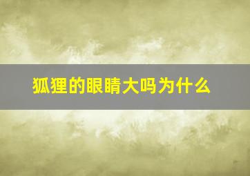 狐狸的眼睛大吗为什么