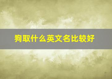 狗取什么英文名比较好