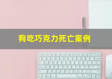 狗吃巧克力死亡案例