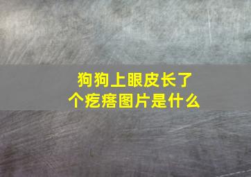 狗狗上眼皮长了个疙瘩图片是什么