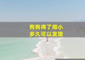 狗狗得了细小多久可以发现