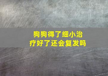 狗狗得了细小治疗好了还会复发吗