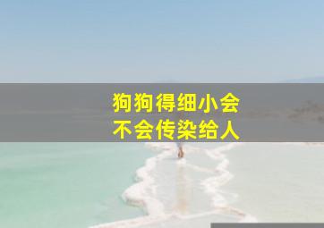 狗狗得细小会不会传染给人